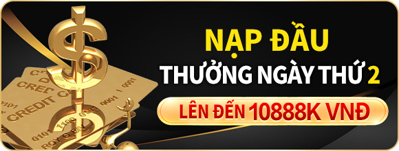 D70Dbb5E86384E6Bbdcdf43A4B1D01A0